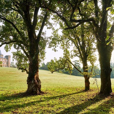 Chateau De Sibra Lagarde  Exteriér fotografie