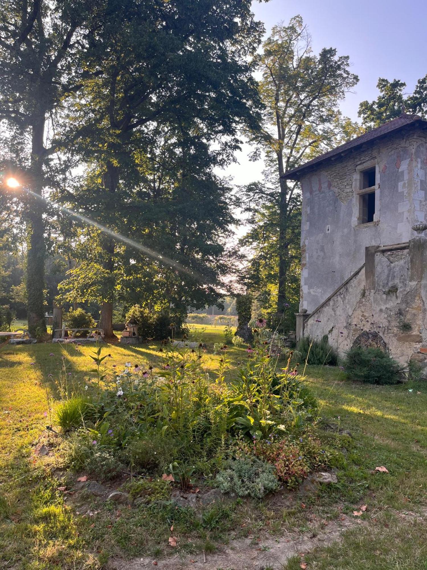Chateau De Sibra Lagarde  Exteriér fotografie