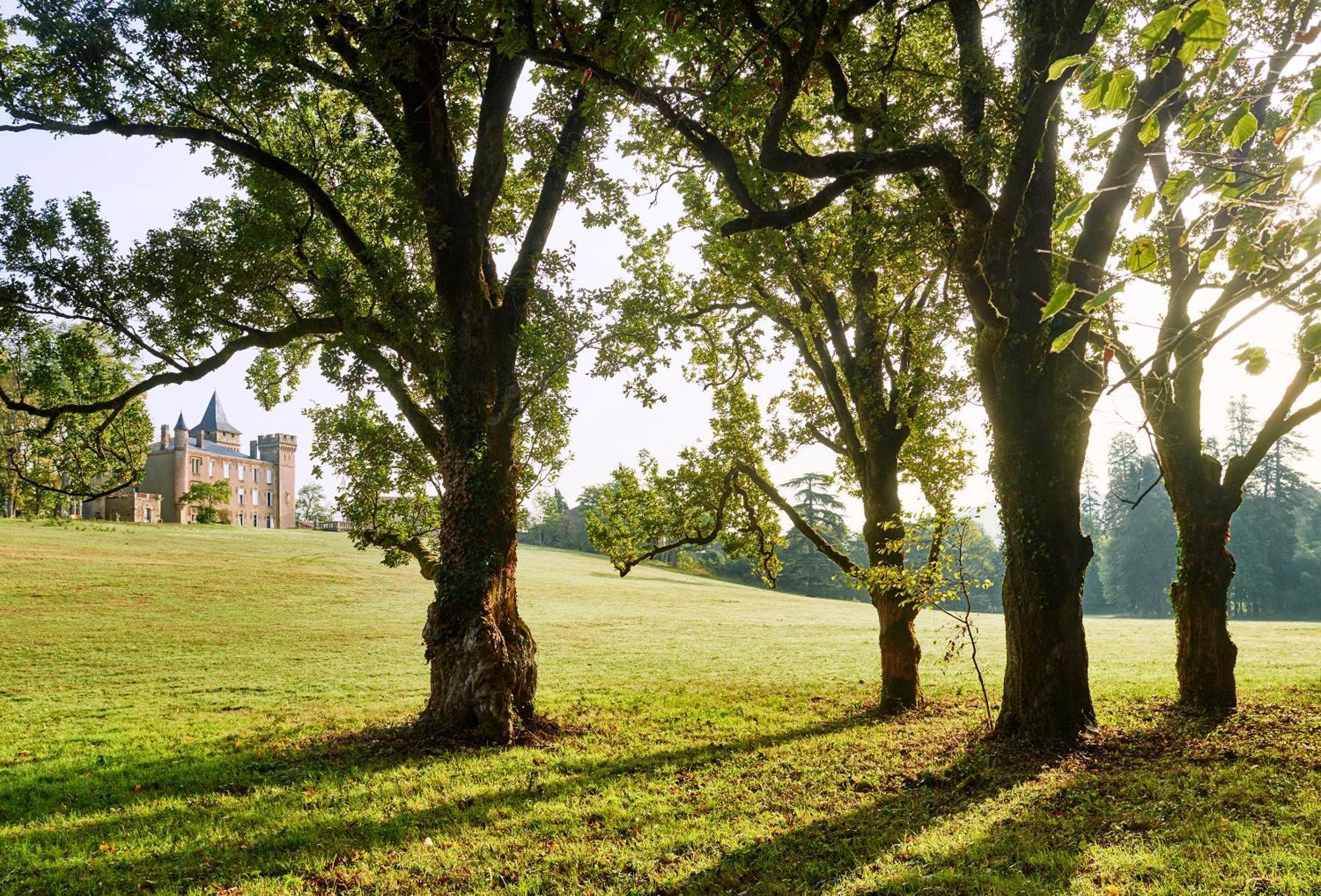 Chateau De Sibra Lagarde  Exteriér fotografie